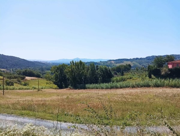 negozio in vendita a Riparbella