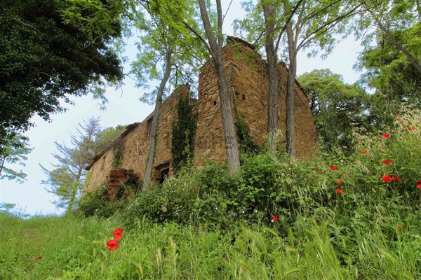 pentavano in vendita a Riparbella