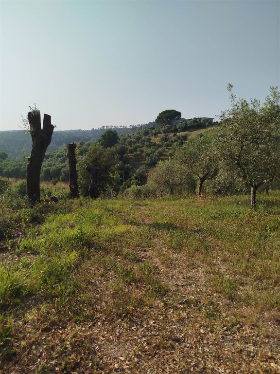 quadrivano in vendita a Riparbella