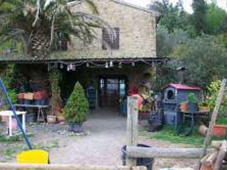 casa indipendente in vendita a Riparbella