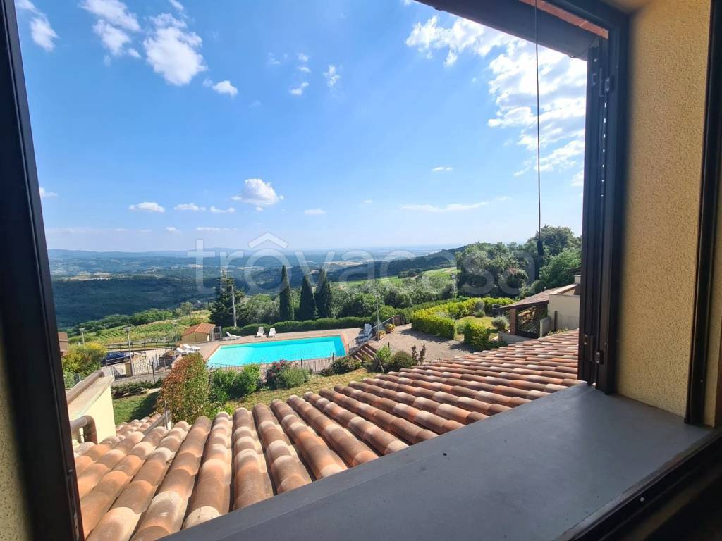 appartamento in vendita a Riparbella