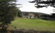 casa indipendente in vendita a Riparbella