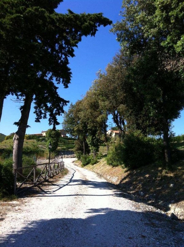 appartamento in vendita a Riparbella