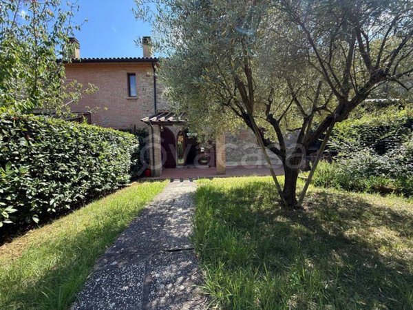 appartamento in vendita a Riparbella