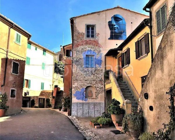 appartamento in vendita a Riparbella