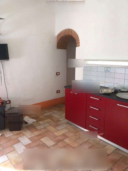 appartamento in vendita a Riparbella