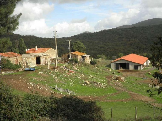 casa indipendente in vendita a Riparbella
