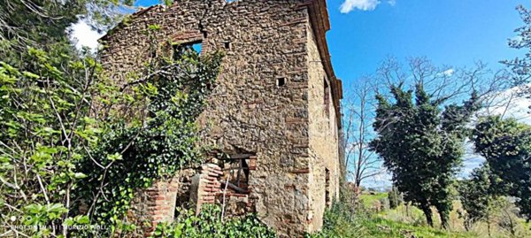 casa indipendente in vendita a Riparbella