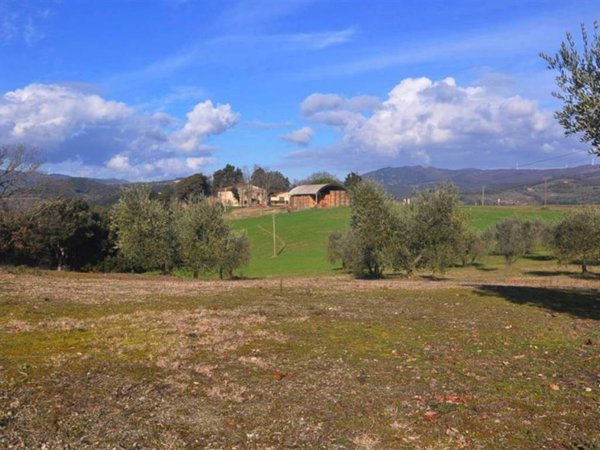 casale in vendita a Riparbella