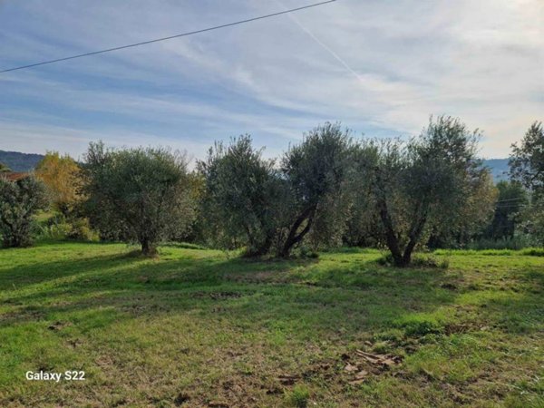 casa indipendente in vendita a Riparbella