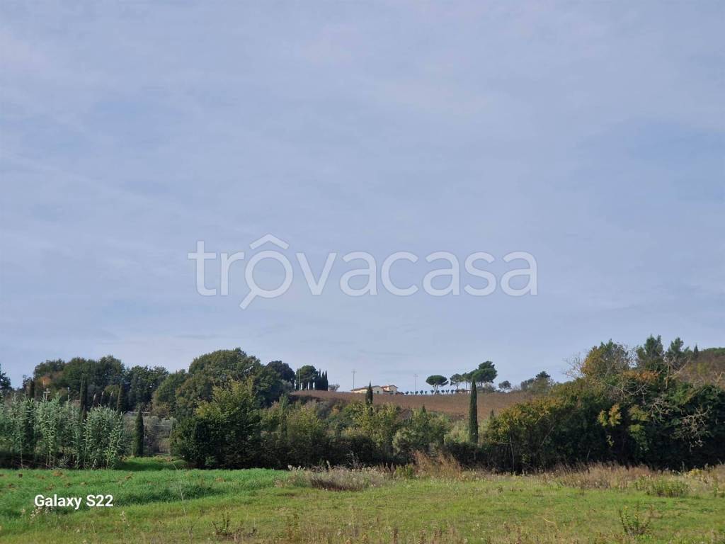 casa indipendente in vendita a Riparbella