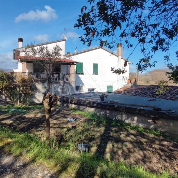 appartamento in vendita a Riparbella