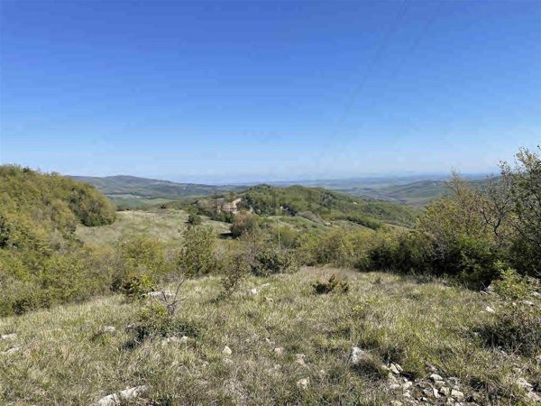 azienda agricola in vendita a Riparbella