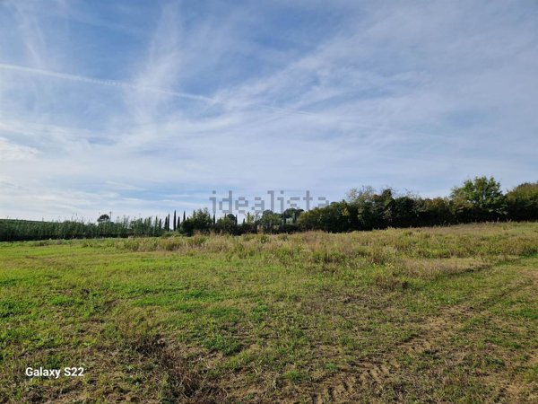 casa indipendente in vendita a Riparbella