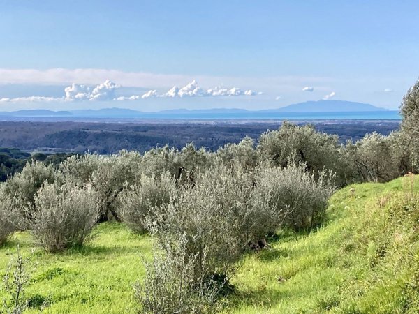 terreno edificabile in vendita a Riparbella