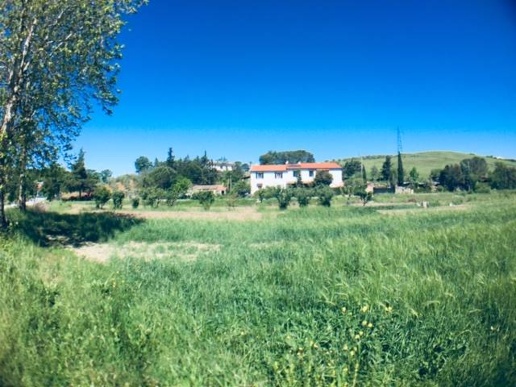 appartamento in vendita a Riparbella