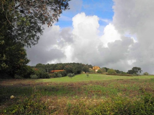 casale in vendita a Riparbella