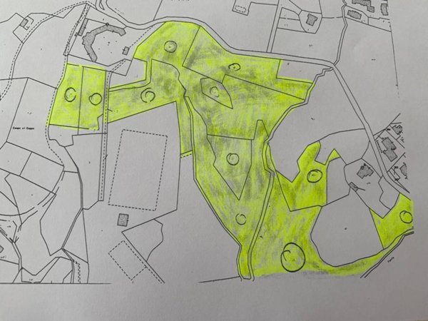 terreno agricolo in vendita a Riparbella