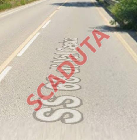 terreno agricolo in vendita a Riparbella