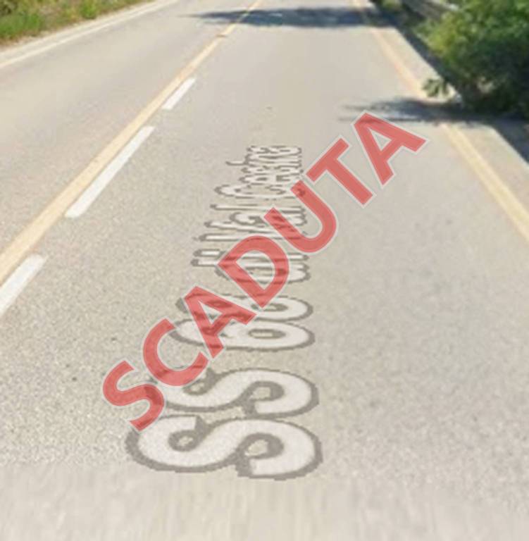 terreno agricolo in vendita a Riparbella