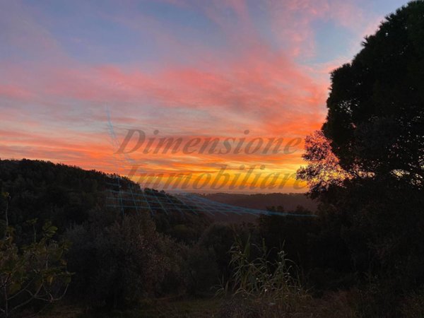 monolocale in vendita a Riparbella