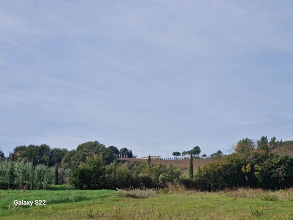 casa indipendente in vendita a Riparbella