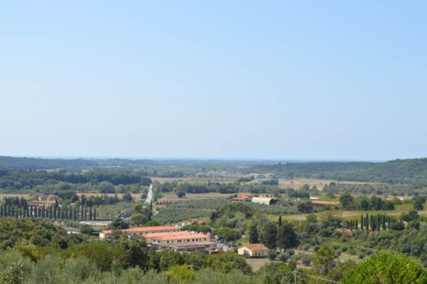 appartamento in vendita a Riparbella