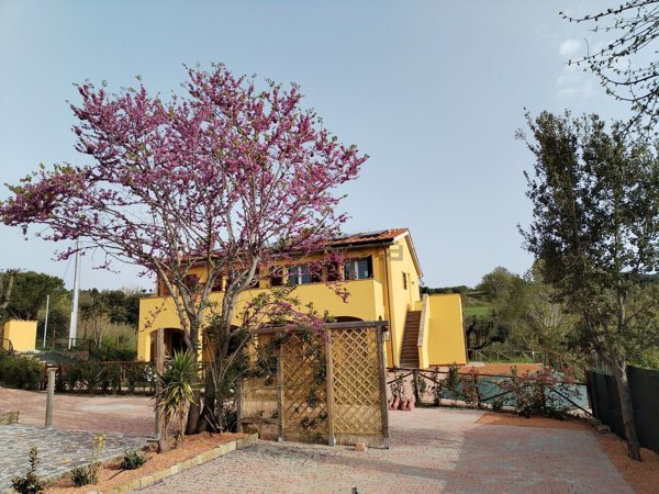 appartamento in vendita a Riparbella