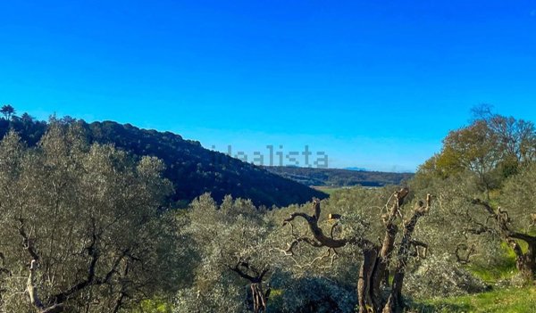 terreno edificabile in vendita a Riparbella