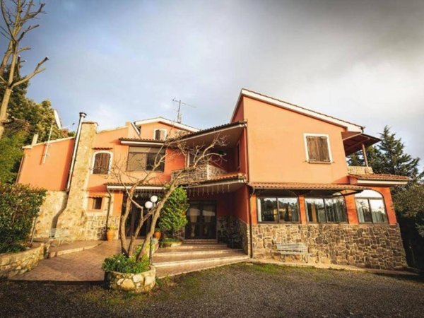 negozio in vendita a Riparbella