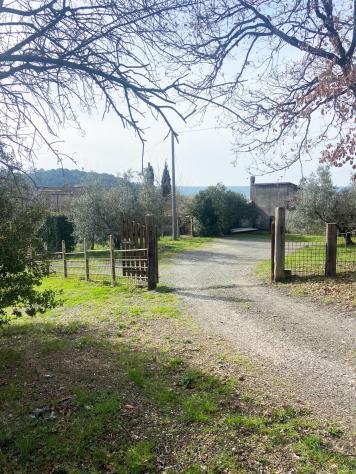 casa indipendente in vendita a Riparbella