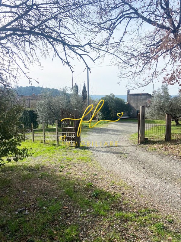 casa indipendente in vendita a Riparbella