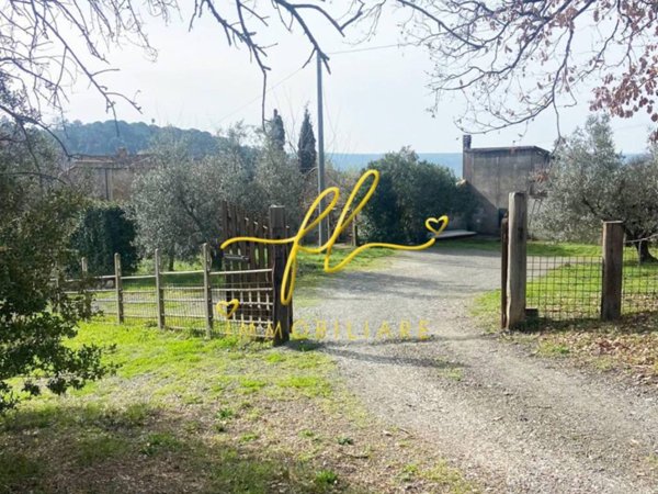 terreno agricolo in vendita a Riparbella