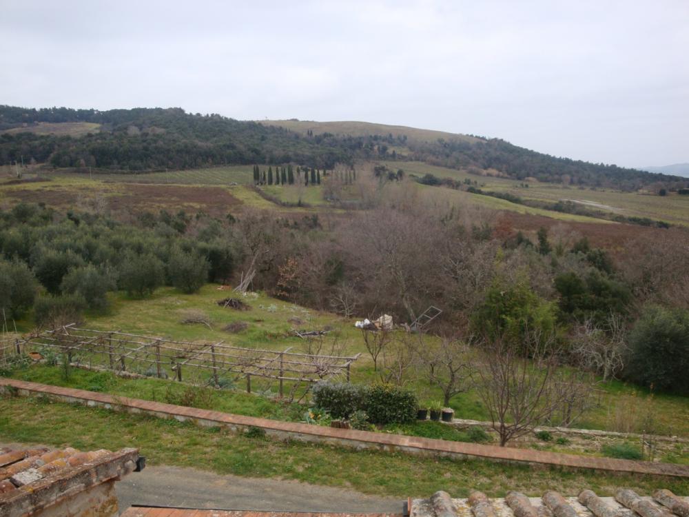 rudere in vendita a Riparbella