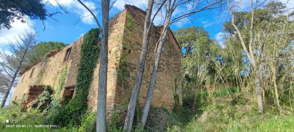 casale in vendita a Riparbella