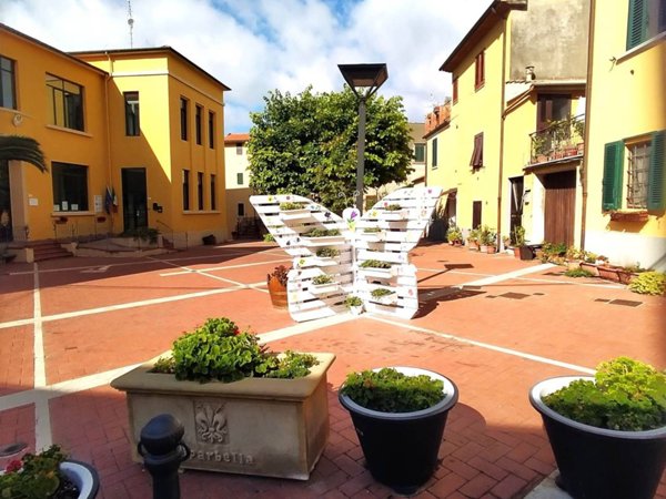 immagine annuncio 0 di 15