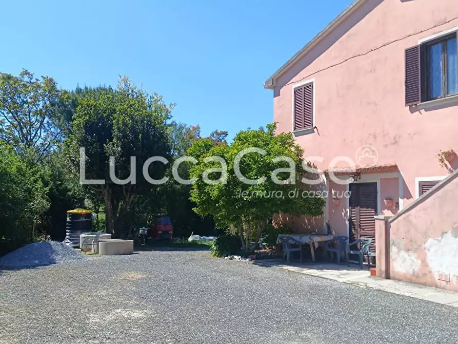 appartamento in vendita a Riparbella