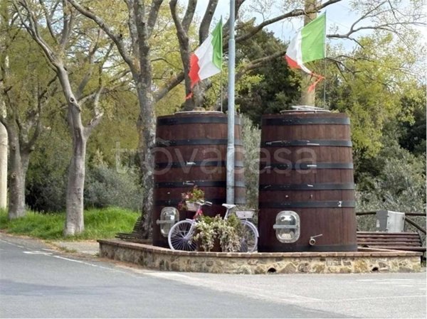 appartamento in vendita a Riparbella
