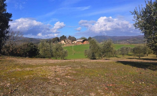 casale in vendita a Riparbella