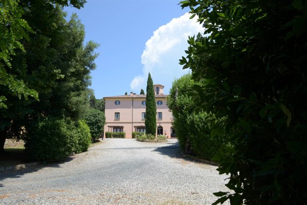 negozio in vendita a Riparbella