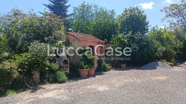 appartamento in vendita a Riparbella