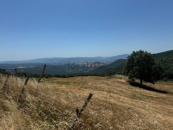 terreno in vendita a Riparbella