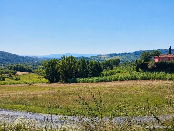 terreno in vendita a Riparbella