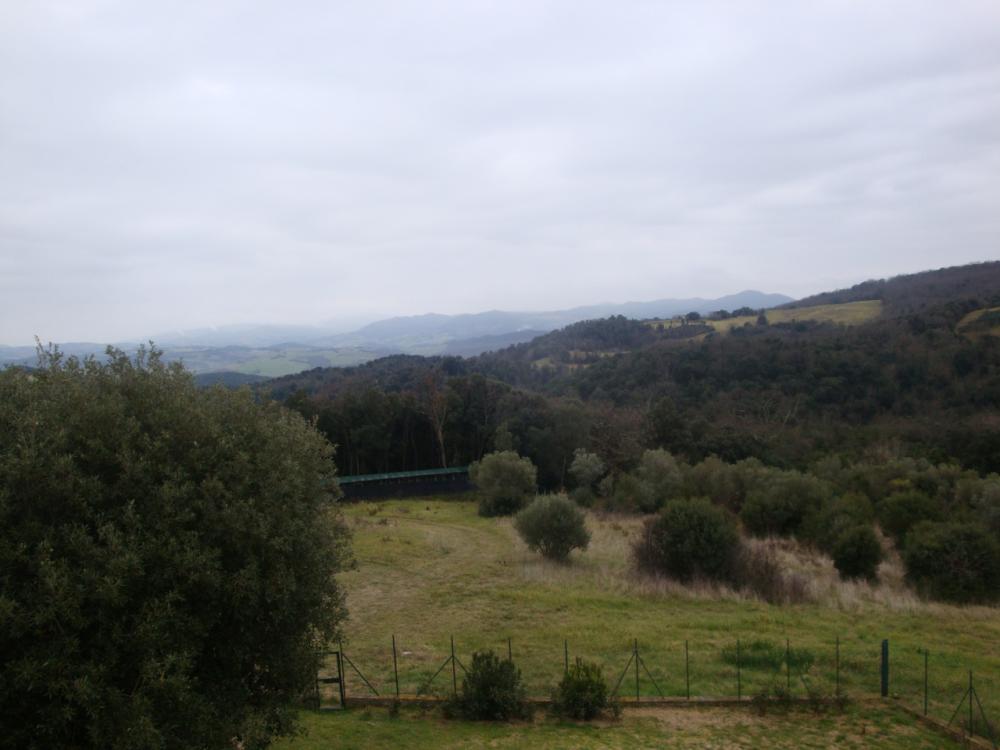 terreno in vendita a Riparbella
