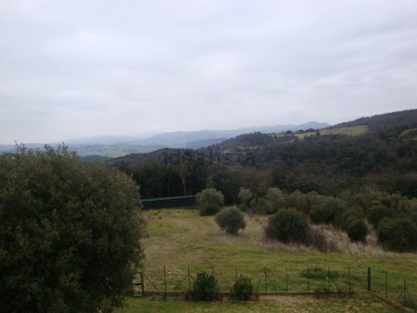 terreno in vendita a Riparbella