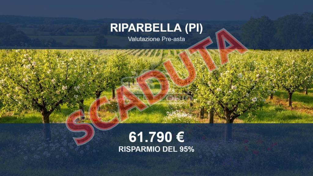 terreno in vendita a Riparbella
