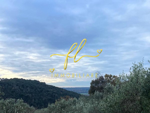 casa indipendente in vendita a Riparbella