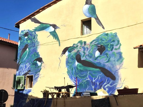 appartamento in vendita a Riparbella