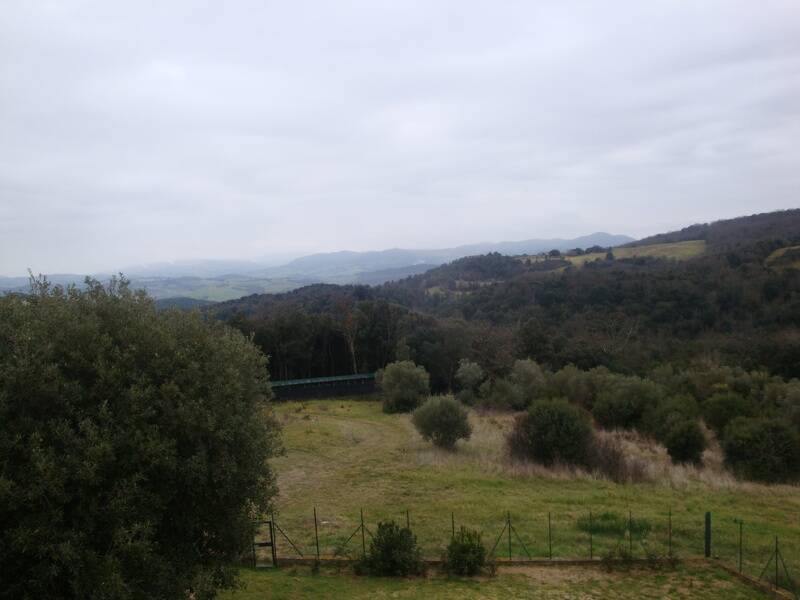 terreno in vendita a Riparbella