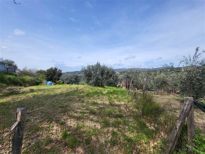 terreno in vendita a Riparbella